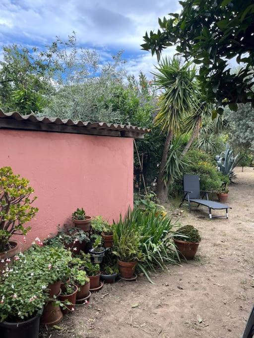 Maison De Village Vintage Avec Grand Jardin Elne Exterior foto